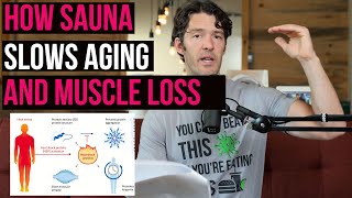 Sauna Slows Aging Muscle Loss amp Supports Longevity by Ratcheting up these Proteins [upl. by Henryson]