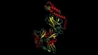 Extrapolation of Inter Domain Communications and Substrate Binding Cavity of Camel HSP70 1A [upl. by Fabrin]