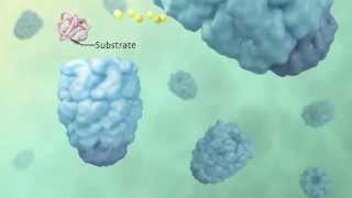 Active Cage Mechanism of ChaperoninAssisted Protein Folding Demonstrated at SingleMolecule Level [upl. by Bryana]