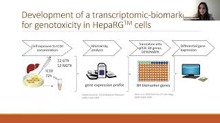 Advancing In Vitro Models for Genotoxicity and Carcinogenicity [upl. by Rekoob]