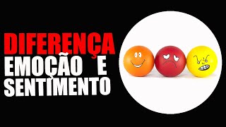 Diferença Entre Sentimento e Emoção [upl. by Lubba130]