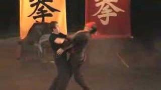 Leung Ting Wing Tsun Hungary SiJo 60 [upl. by Emyle]