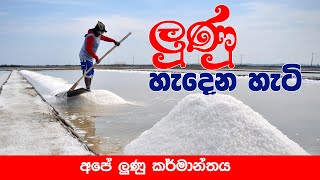 අපේ ලුණු කර්මාන්තය  salt industry in sri lanka  සොබාදහම මතු පරපුරට  culture Documentary [upl. by Faruq26]