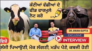 ਕੱਟੀਆਂ ਵੱਛੀਆਂ ਦੀ ਫੀਡ ਘਰ ਹੀ ਤਿਆਰ ਕਰੋ Calf Starter and Heifer feed formula [upl. by Amle774]