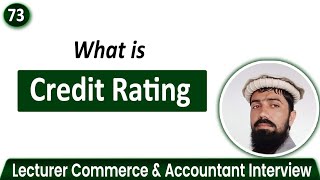 Meaning of Credit Rating  What is Credit Rating [upl. by Solokin]