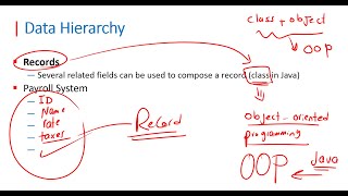 Lecture 02 Java  Data Hierarchy بالعربي [upl. by Olga]