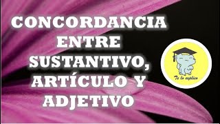 CONCORDANCIA ENTRE SUSTANTIVO ARTÍCULO Y ADJETIVO [upl. by Krissie]