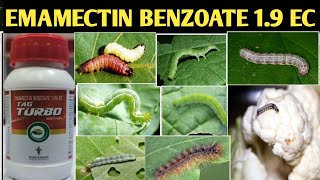 Emamectin Benzoate 19� Emamectin Benzoate 19� insecticide Tropical Tag Turbo plus insecticid [upl. by Ijnek]