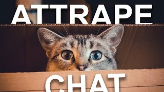 ATTRAPE CHAT [upl. by Christin]