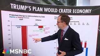 Steve Rattner Trump’s mass deportation and trade war plans will tank the economy [upl. by Notlit131]