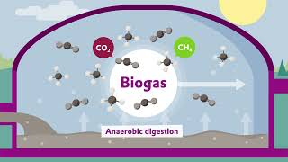 Upgrading of biogas to highpurity BioCO2 with SEPURAN® Green membranes  Evonik [upl. by Germann778]