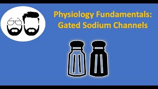 Voltage Gated Sodium Channels Part 3 [upl. by Imogene]