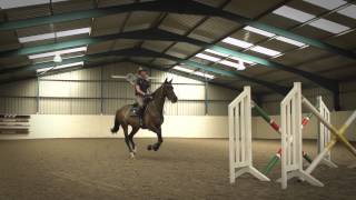 Behind The Scenes of Showjumping  Excelling Under Pressure [upl. by Fawne]