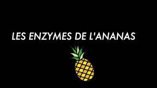 9  Les enzymes de lananas [upl. by Demmy]