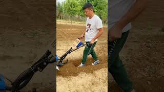 hillside hilly orchard greenhouse cornfield rotarytillage weeding ditching machine [upl. by Ahsiak]