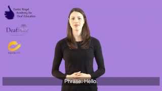 Learn Basic Greetings in British Sign Language BSL [upl. by Seabrook]