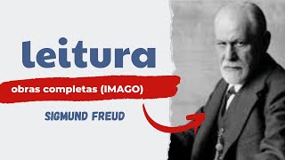 Fenomenologia Lacan Jung e Freud 14 [upl. by Elocon]