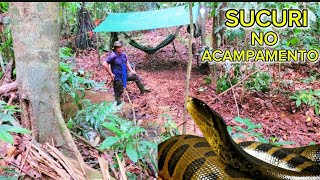 Acampamento selvagem explorando a selva e deparei com uma sucuri gigante [upl. by Nibla]