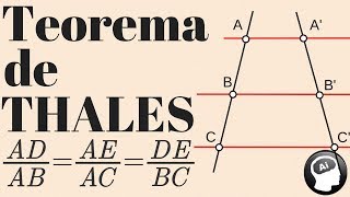 Teorema de Thales semejanza de triángulos segmentos proporcionales [upl. by Eidnim]