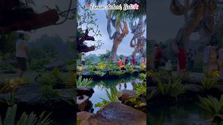 Bali series in tamil  Epi 04  Taman dedari🌸 [upl. by Yhtuv532]