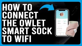 How To Connect The Owlet Smart Sock To WiFi How To Easily Connect Owlet Smart Sock To Internet [upl. by Llenwad]