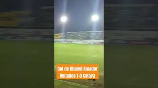 GOL DE VENADOS VENADOS 10 CELAYA shorts [upl. by Ellimahs]