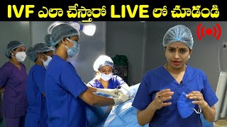 IVF ఎలా చేస్తారో LIVE లో చూడండి  IVF Step By Step Procedure  Dr Jyothi Fertility Expert  HQ [upl. by Dowling]