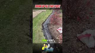 How Open French Drains Transform Your Yard [upl. by Sharai826]