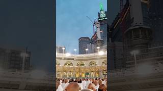 Azan by Mehdi yarrahishortsfeed islamicvideostatus viral [upl. by Akihsan]