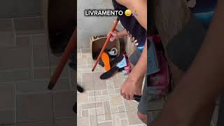 Foi Livramento 😩🙏🏽livramento meme carteiradetrabalho clt trend zueira viral tvmaromba [upl. by Fessuoy]