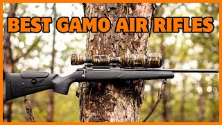 5 Best Gamo Air Rifles In 2024🔥 [upl. by Negyam]