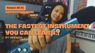 The Fastest Instrument to Learn [upl. by Hamirak960]