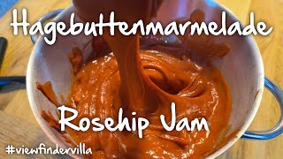 Rezept selbstgemachte Hagebuttenmarmelade  Recipe homemade Rosehip Jam [upl. by Zenobia]