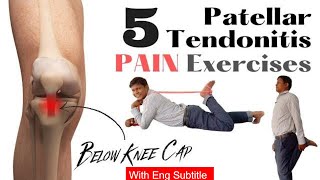 Pain Below Knee Cap 5 Best Exercises for Patellar Tendonitis in Hindi [upl. by Hayidah]