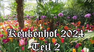 Keukenhof 2024 Teil 2 [upl. by Nollahs]