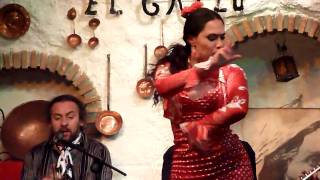 Sacromonte Flamenco in Granada [upl. by Attikin268]