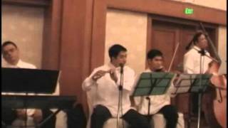 Pleyel  Duet No 1  first movement [upl. by Cuhp]