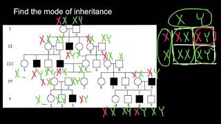 How to find mode of inheritance [upl. by Nothgierc]