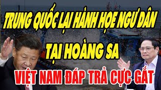 TRUNG QUỐC NÓI quotVIỆT NAM NÊN DẠY LẠI NGƯ DÂN NƯỚC MÌNHquot VÀ CÁCH VN ĐÁP TRẢ KHIẾN CẢ ĐNÁ PHẢI NỂ [upl. by Knowland]