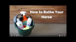 How To Bathing Your Horse Presented By Absorbine [upl. by Inahs]