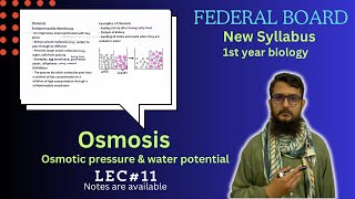 Osmosis  Osmotic pressure  water potential  class 11 [upl. by Ninel]