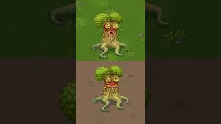 Oaktopus  Gold Island Vs Plant Island My Singing Monsters [upl. by Ahsak922]