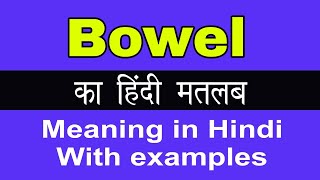 Bowel Meaning in HindiBowel का अर्थ या मतलब क्या होता है [upl. by Ihcalam]