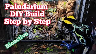 How To Build A Paludarium DIY In Depth Tutorial paludarium bioactive [upl. by Amorette330]