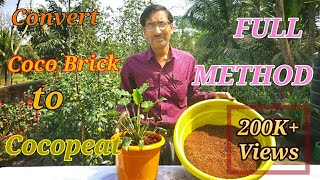 How to Make Cocopeat from Cocobrick and Use it [upl. by Htebharas]