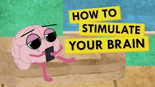 How to Give Your Brain the Stimulation It Needs [upl. by Nabetse]