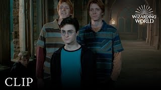 Fred and George Hatch a Plan  Harry Potter and the Order of the Phoenix [upl. by Yeldnarb]