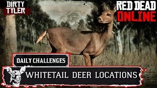 Whitetail Deer Locations RDR2 Red Dead Redemption 2 Online [upl. by Serene]