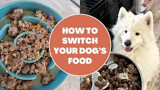 How to Switch Your Dog’s Food and avoid upset bellies [upl. by Solracesoj491]