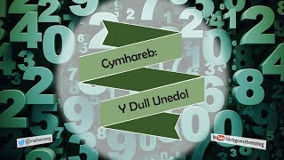 153 RhS Cymhareb Y Dull Unedol [upl. by Nauqe]